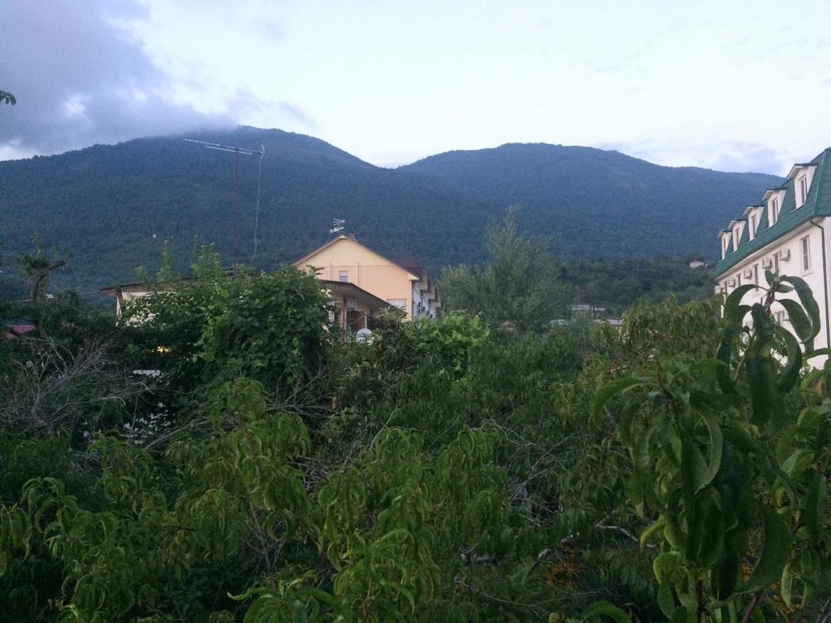 Guesthouse Mira Gagra Extérieur photo